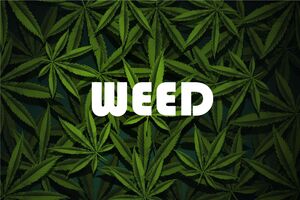 Weed